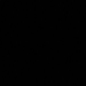 Meet your Posher, Jessie